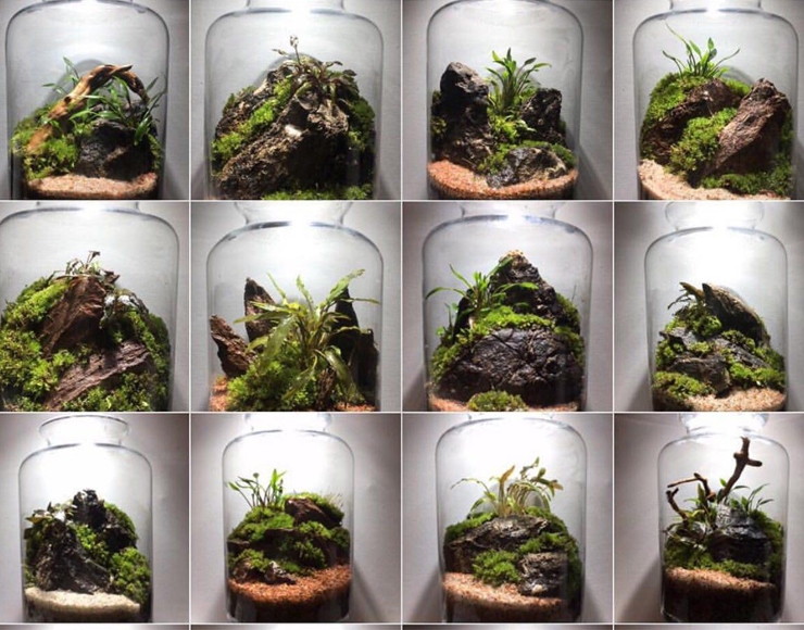 وابی کوزا چیست ؟