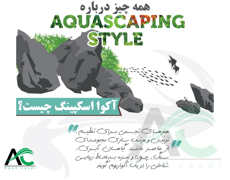 راهنمای تصویری سبک های آکواریم(آکوااسکیپینگ)